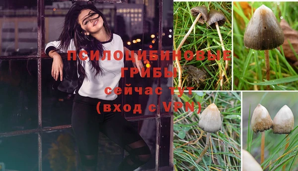 круглые Липки