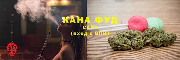 мдпв Магас